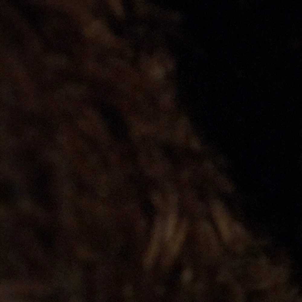 Meet your Posher, Cyrus